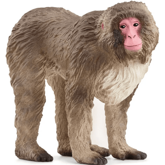 Toys N Tuck:Schleich 14871 Wild Life Japanese Macaque,Schleich