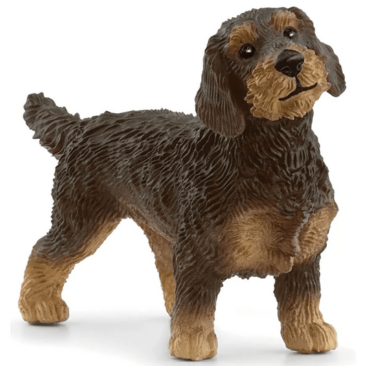 Toys N Tuck:Schleich 13972 Farm World Wire-Haired Dachshund,Schleich