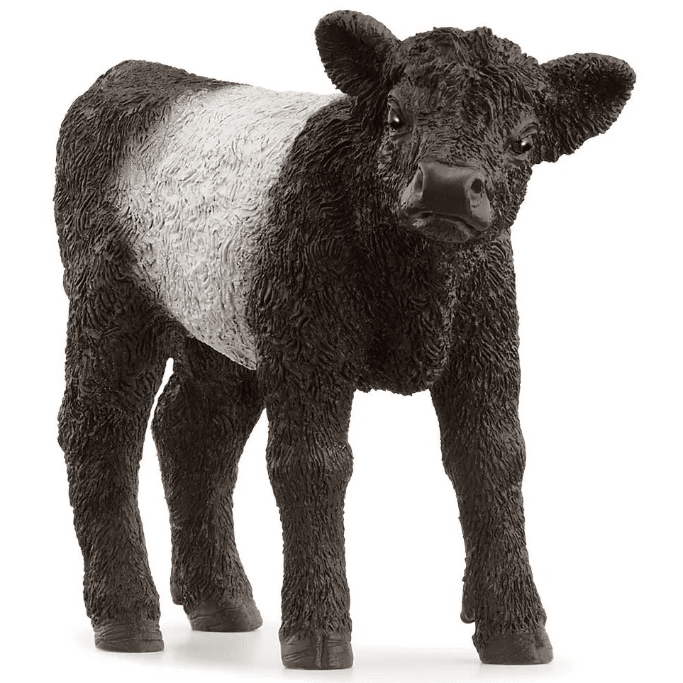 Toys N Tuck:Schleich 13969 Farm World Galloway Calf,Schleich