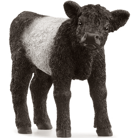 Toys N Tuck:Schleich 13969 Farm World Galloway Calf,Schleich