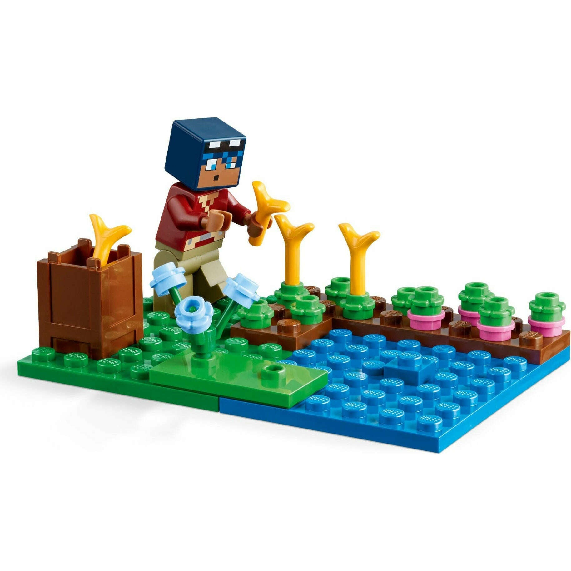 Frog lego online set