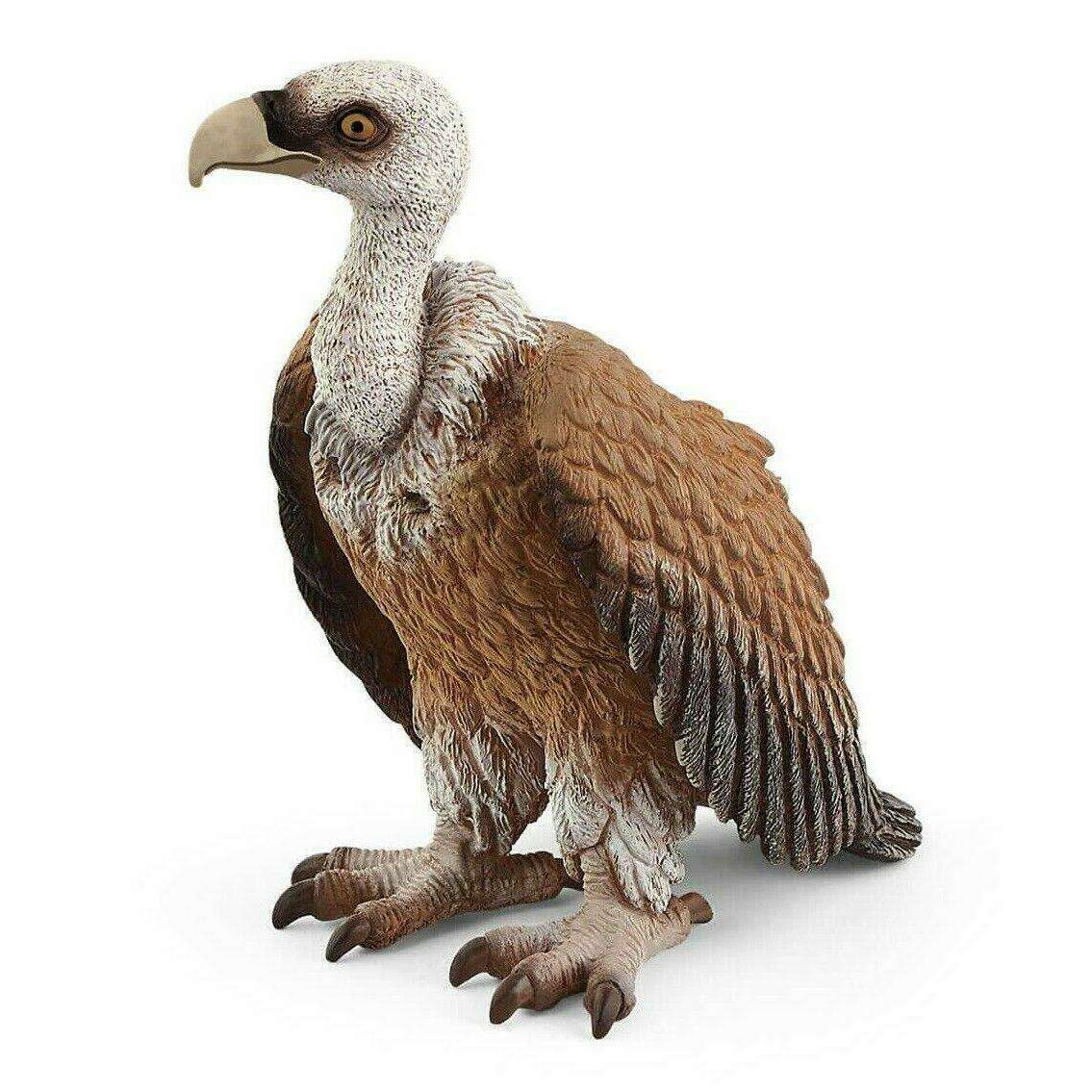 Toys N Tuck:Schleich 14847 Wild Life Vulture,Schleich