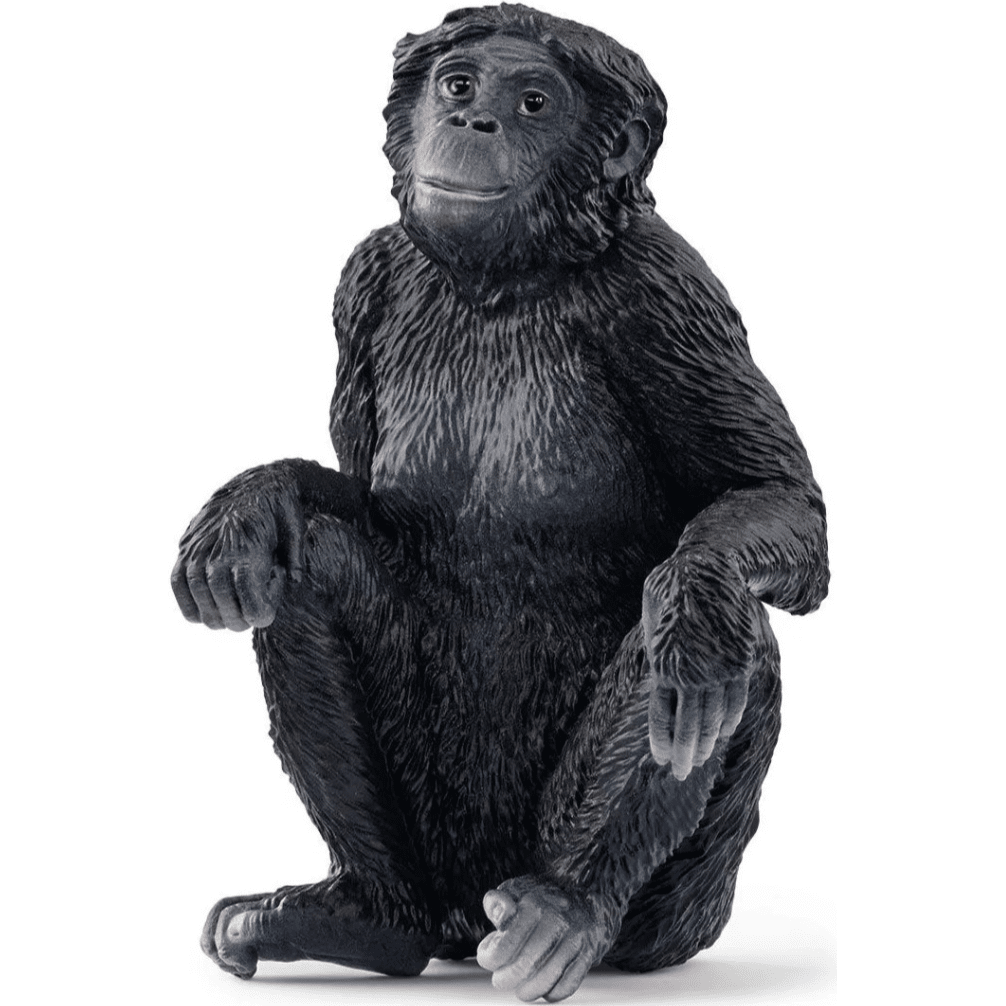 Toys N Tuck:Schleich 14875 Wild Life Bonobo Female,Schleich