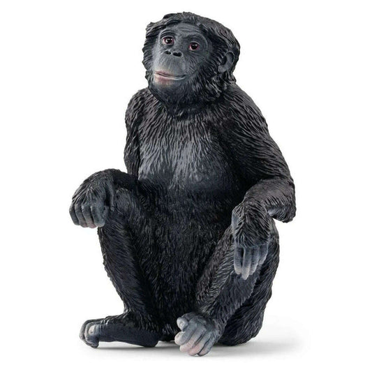 Toys N Tuck:Schleich 14875 Wild Life Bonobo Female,Schleich