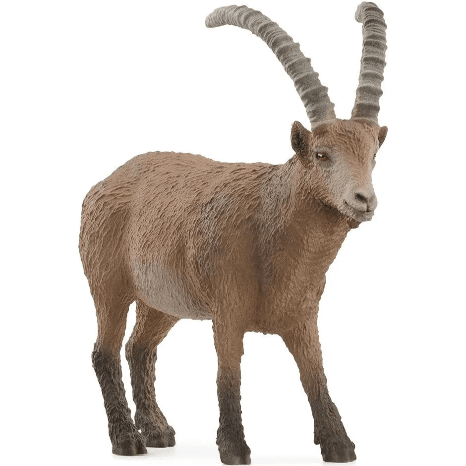 Toys N Tuck:Schleich 14873 Wild Life Ibex,Schleich