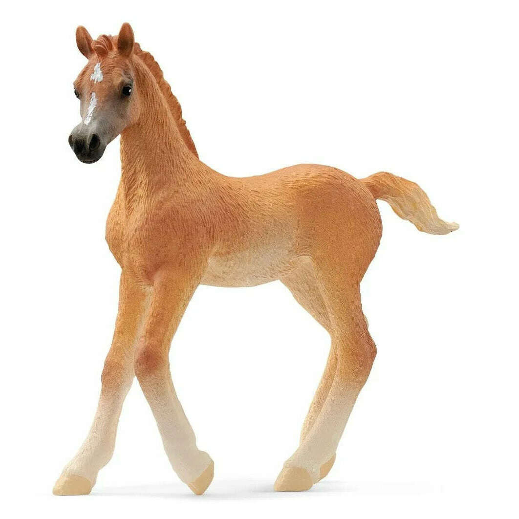 Toys N Tuck:Schleich 13984 Horse Club Arabian Foal,Schleich