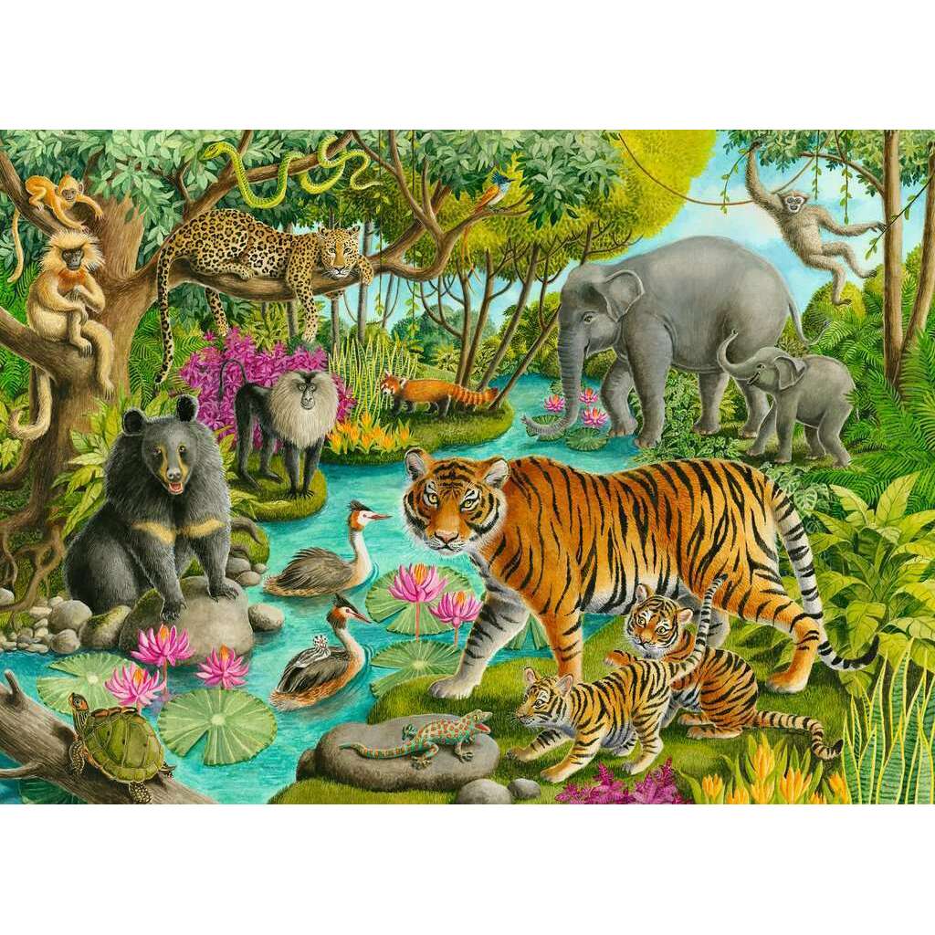 Toys N Tuck:Ravensburger 60pc Puzzle Animals of India,Ravensburger