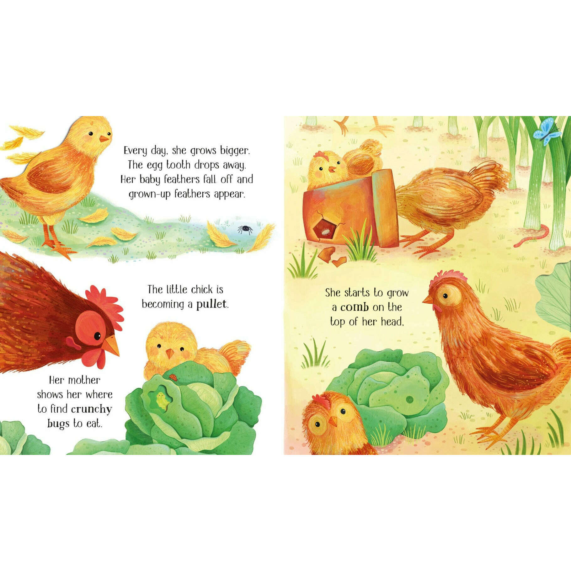 Toys N Tuck:Usborne Books - One Little Chick,Usborne Books