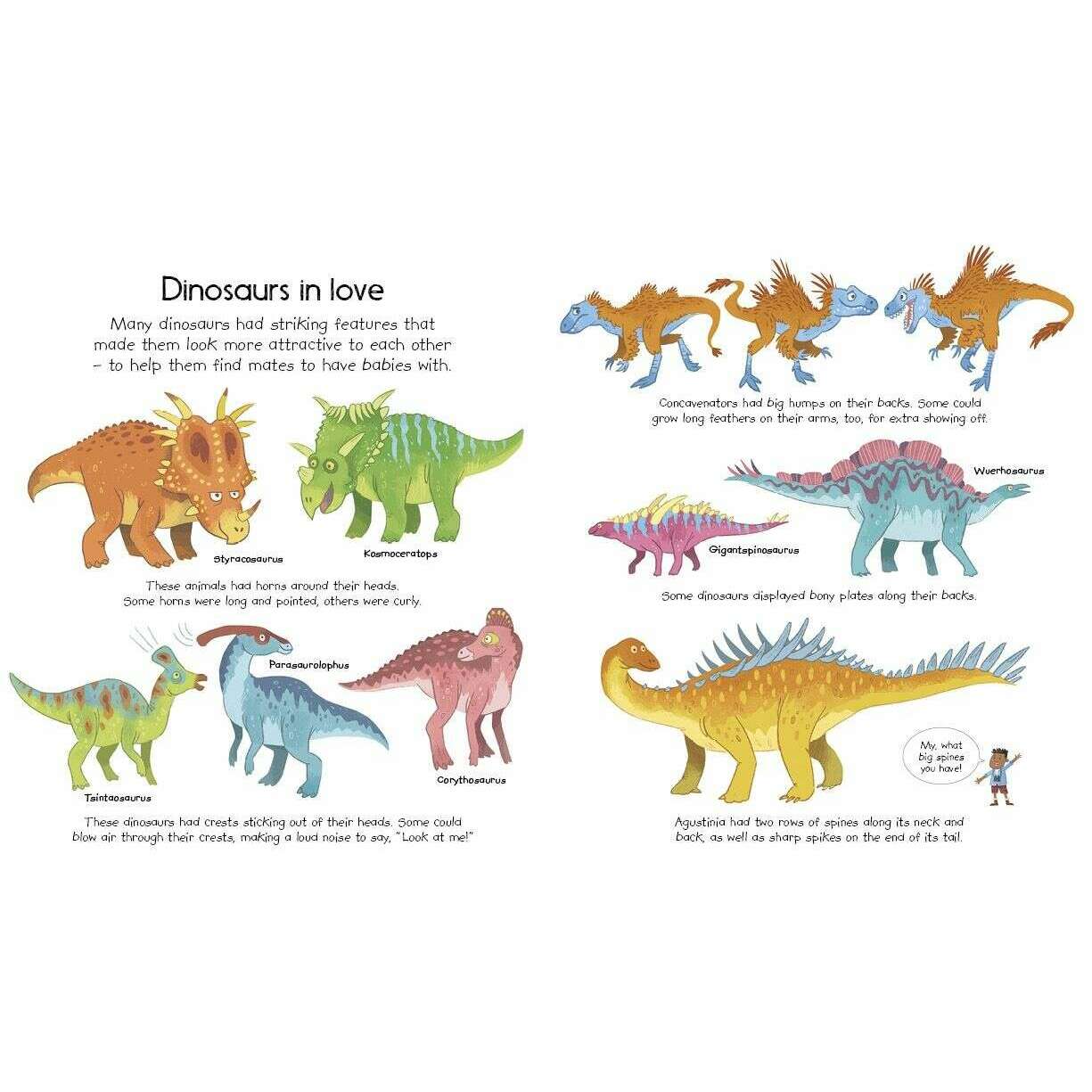 Toys N Tuck:Usborne Books - My Very First Dinosaurs Book,Usborne Books