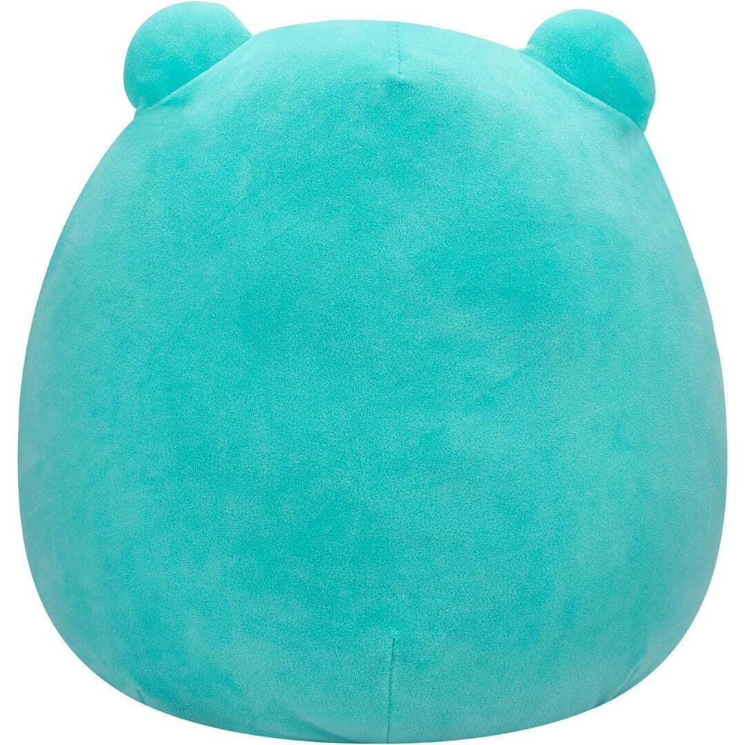 Squishmallows 7.5 Inch Plush - Robert The Frog – Toys N Tuck
