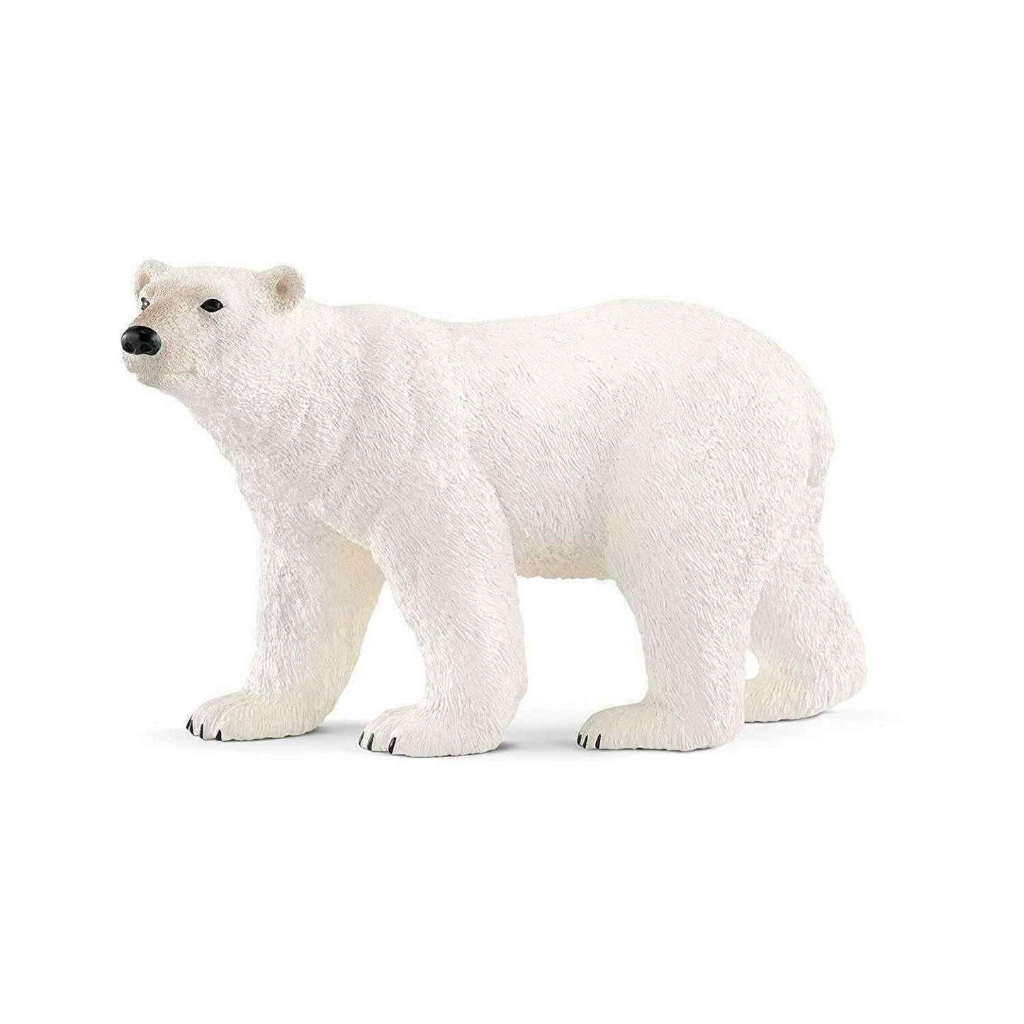 Toys N Tuck:Schleich 14800 Wild Life Polar Bear,Schleich