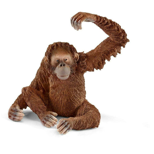 Toys N Tuck:Schleich 14775 Wild Life Orangutan Female,Schleich