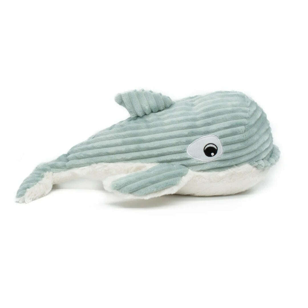 Toys N Tuck:Ptipotos Plush Mint Green Orca with Baby,Ptipotos