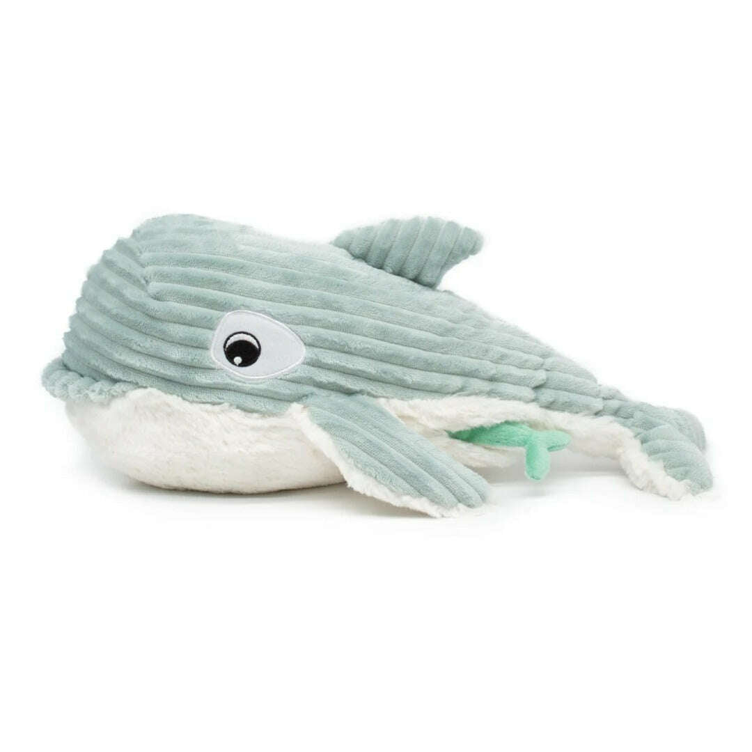 Toys N Tuck:Ptipotos Plush Mint Green Orca with Baby,Ptipotos