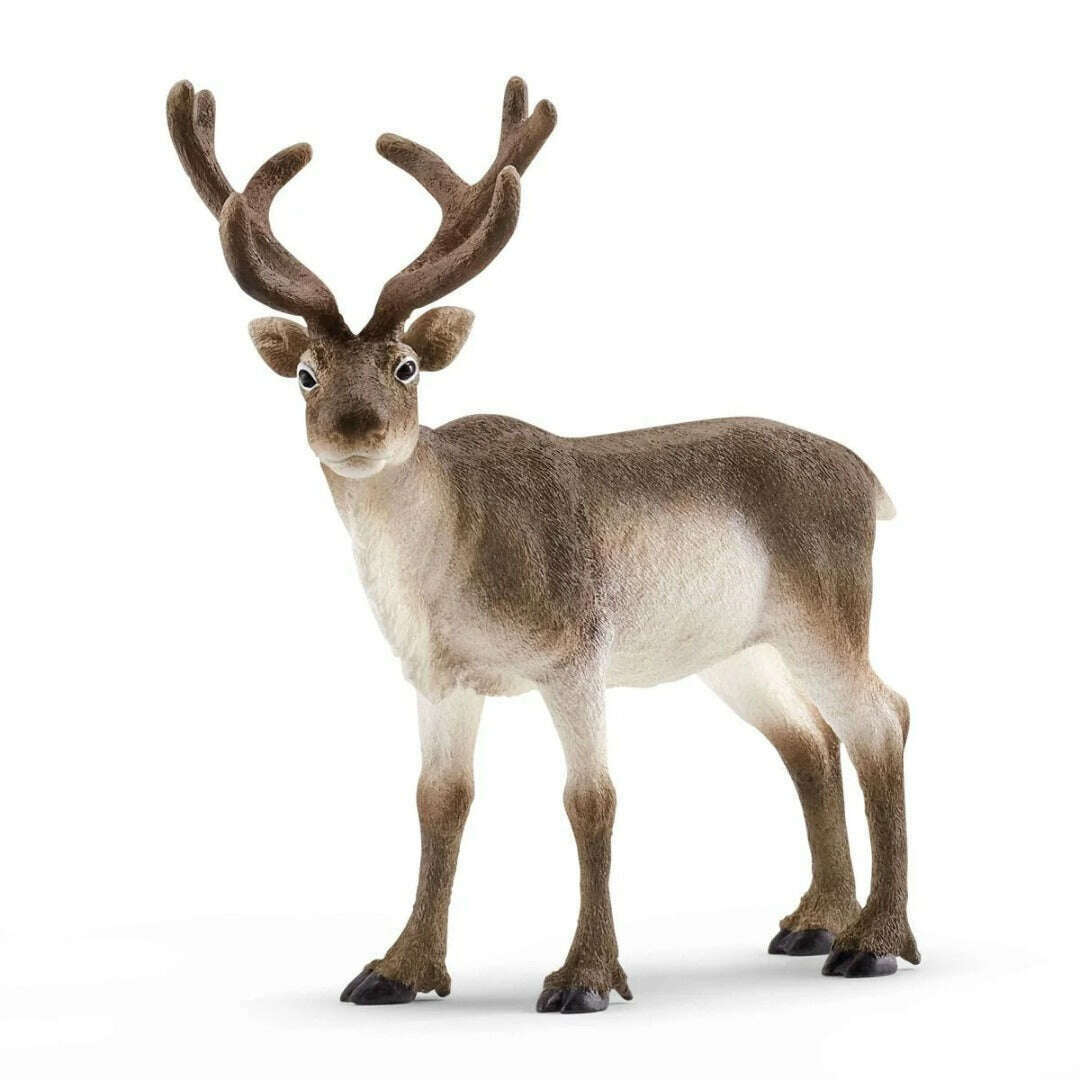 Toys N Tuck:Schleich 14837 Wild Life Reindeer,Schleich