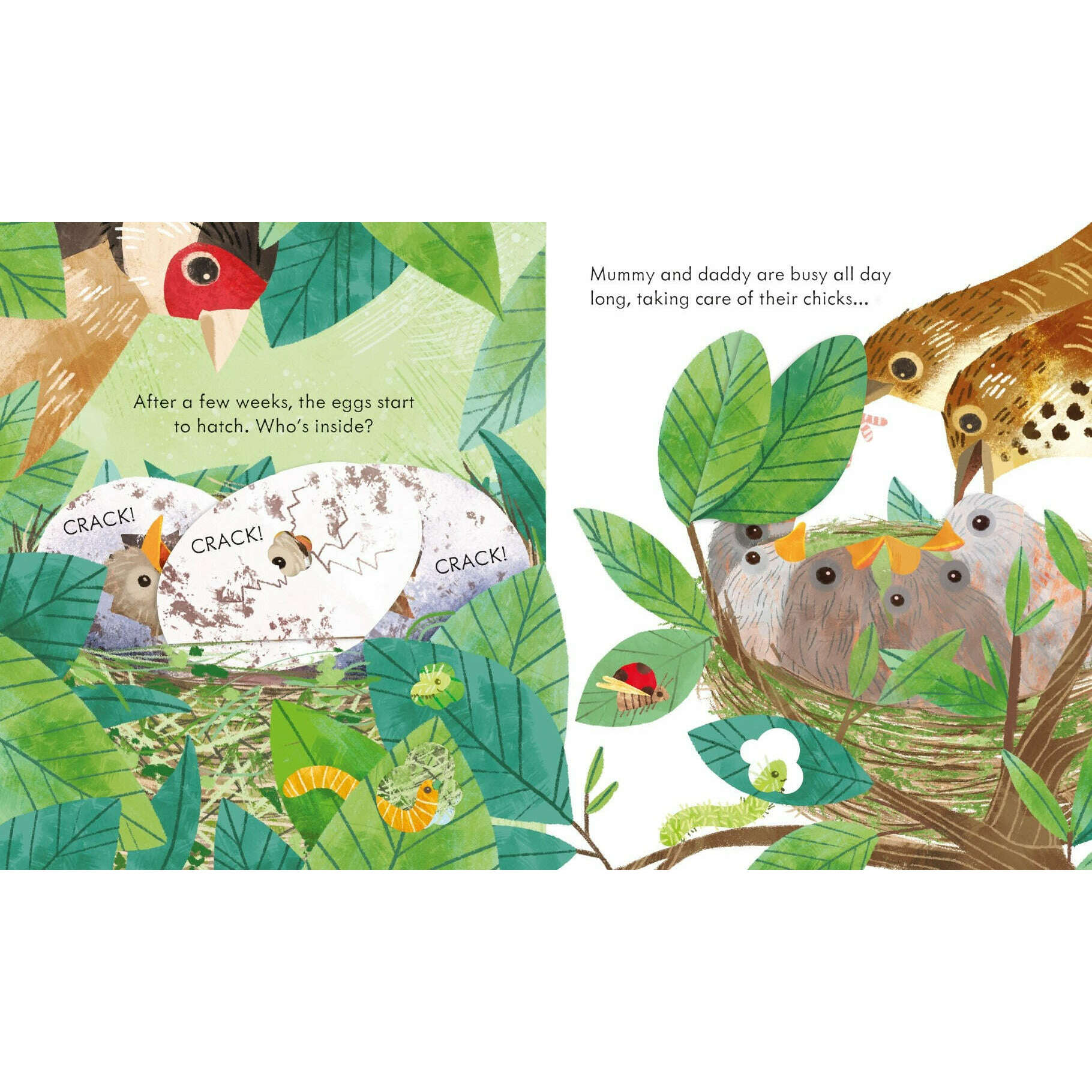 Toys N Tuck:Usborne Books - Peep Inside a Bird's Nest,Usborne Books