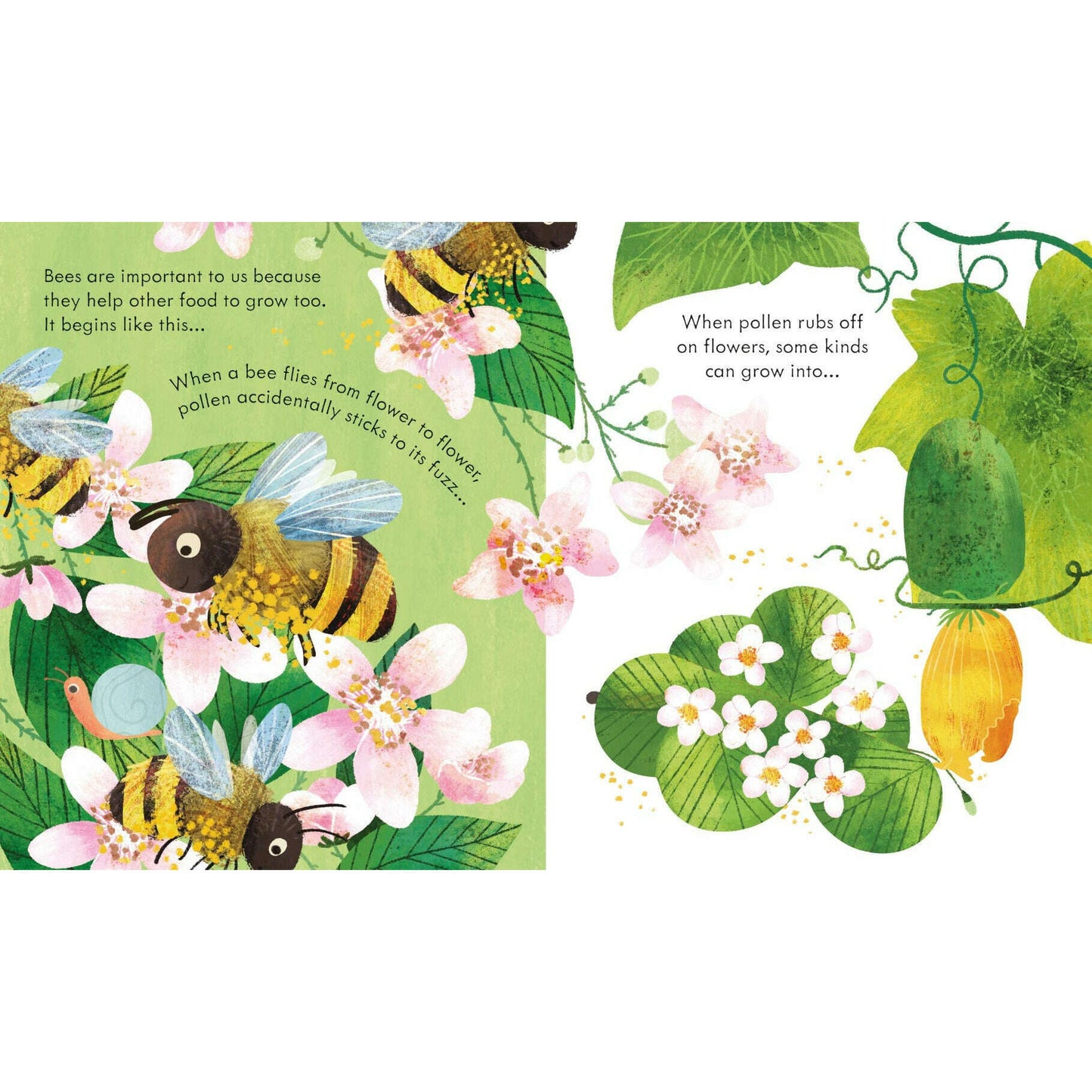 Toys N Tuck:Usborne Books - Peep Inside a Beehive,Usborne Books