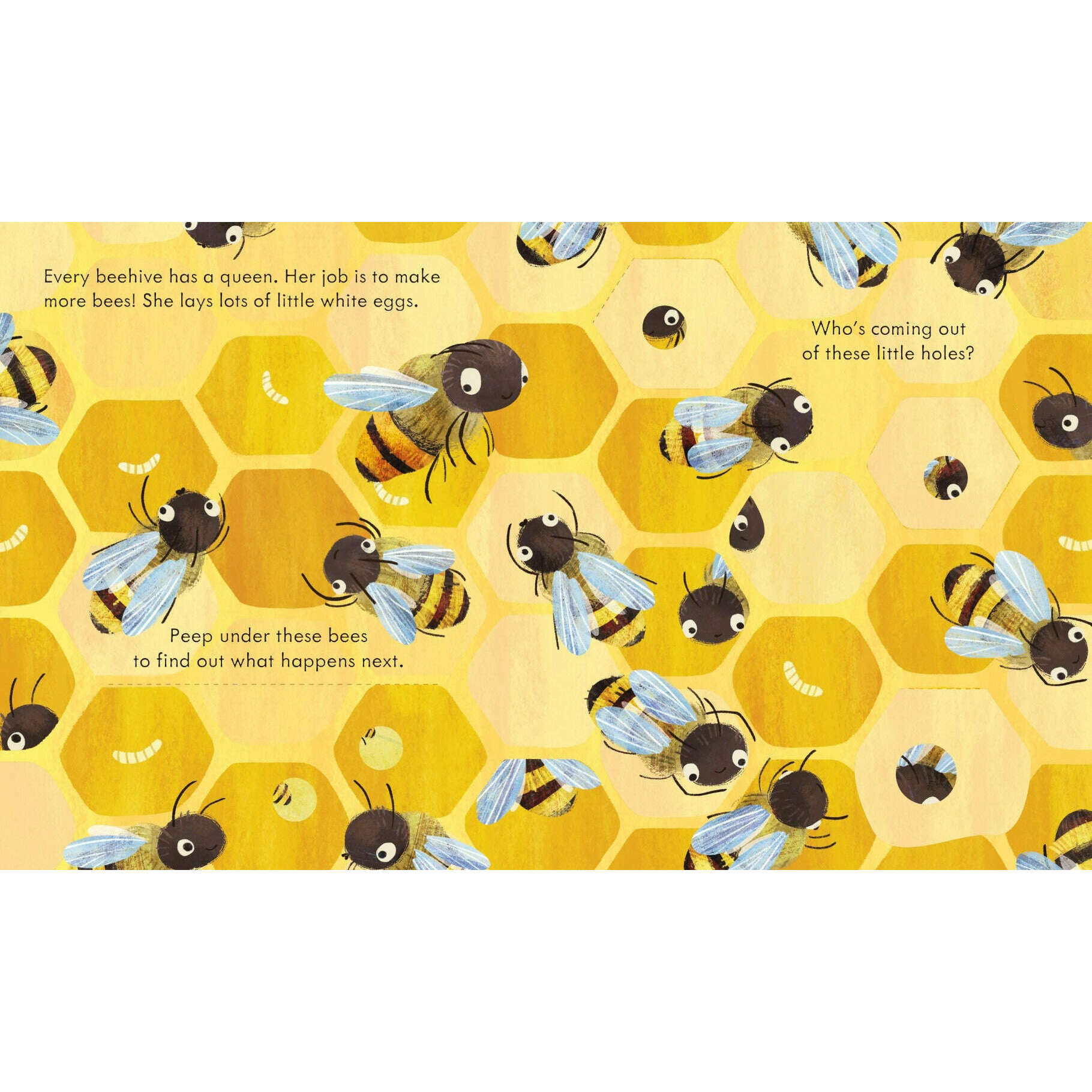 Toys N Tuck:Usborne Books - Peep Inside a Beehive,Usborne Books