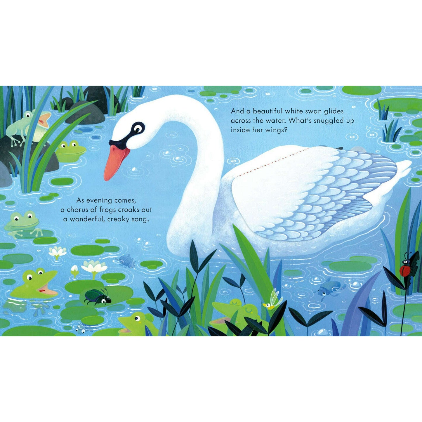 Toys N Tuck:Usborne Books - Peep Inside the Pond,Usborne Books