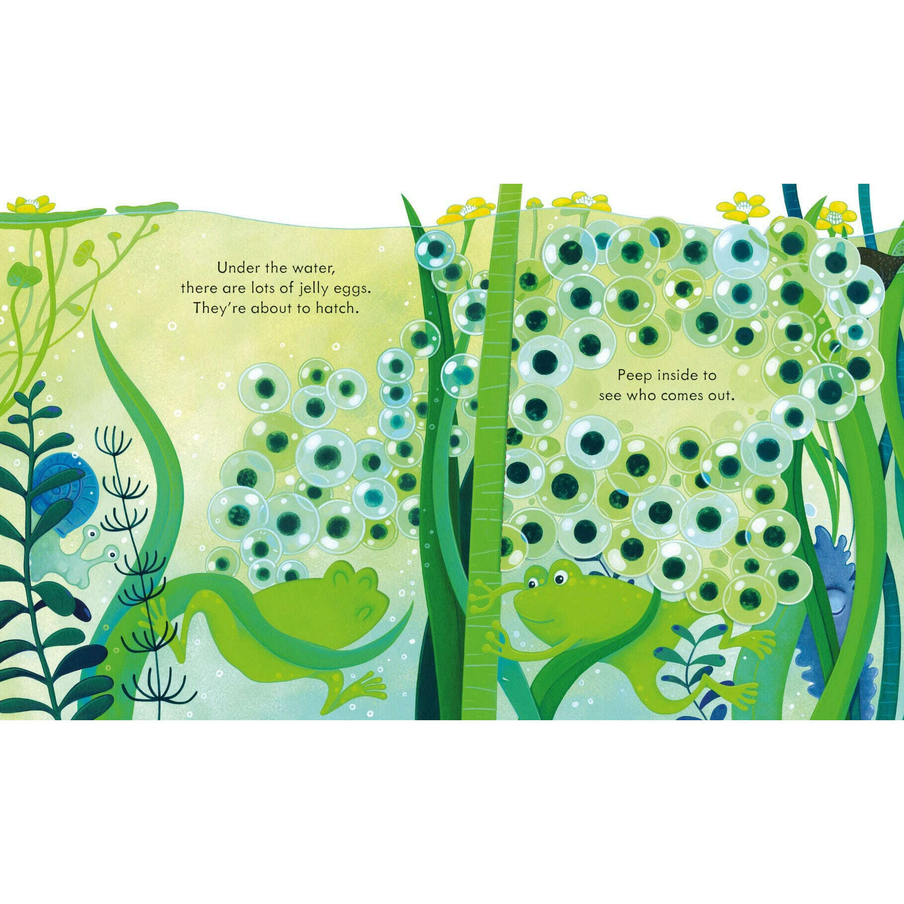 Toys N Tuck:Usborne Books - Peep Inside the Pond,Usborne Books