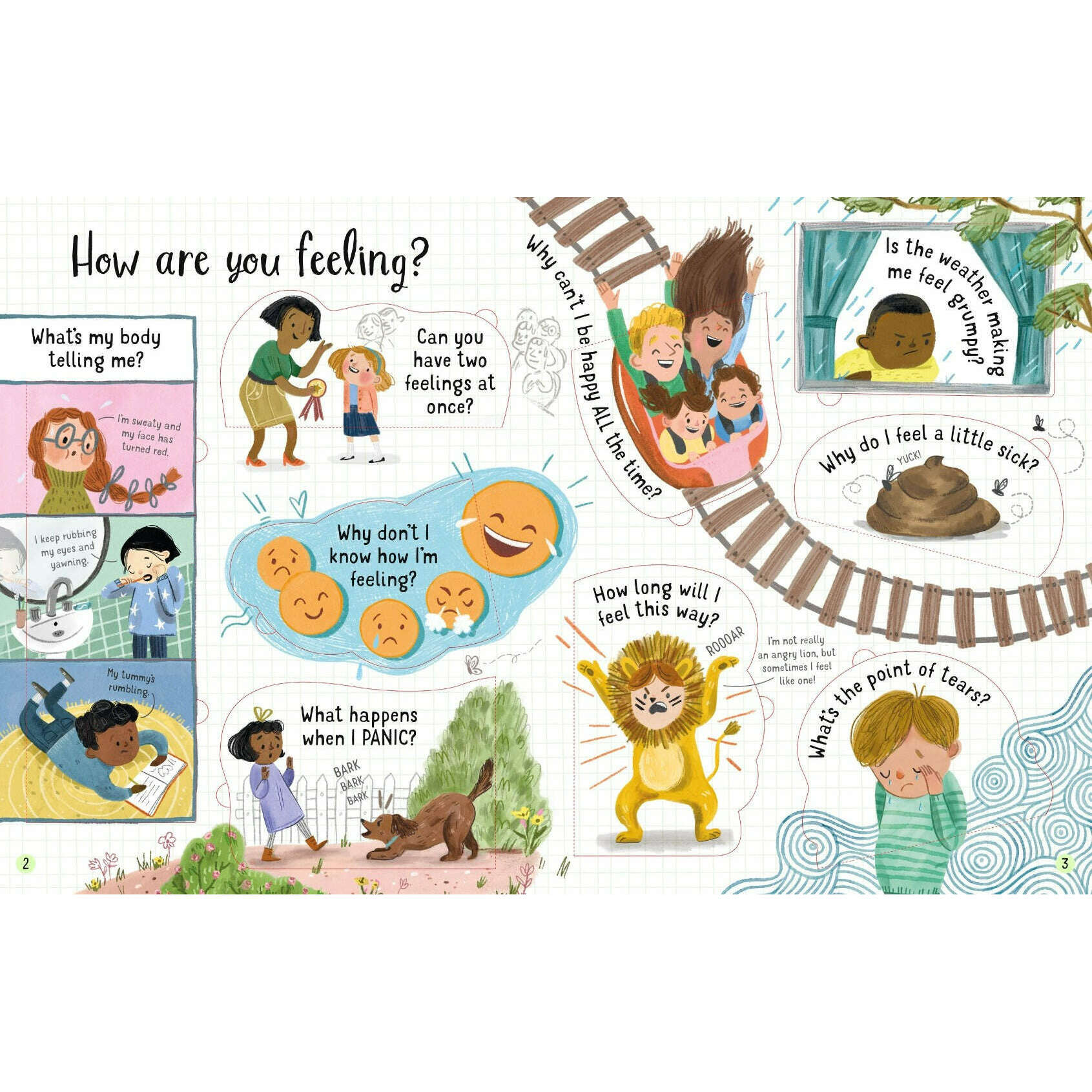 Toys N Tuck:Usborne Books - Lift-the-Flap Questions and Answers About Feelings,Usborne Books