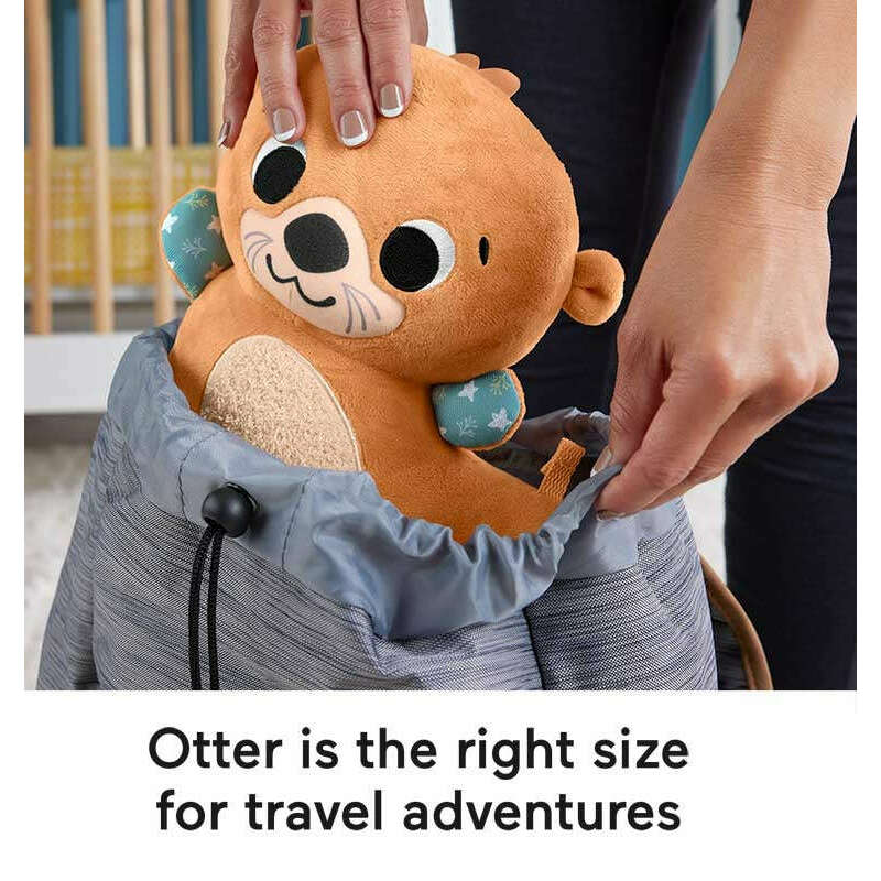 Toys N Tuck:Fisher Price 2 in 1 Rockin' Tummy Time Otter,Fisher Price