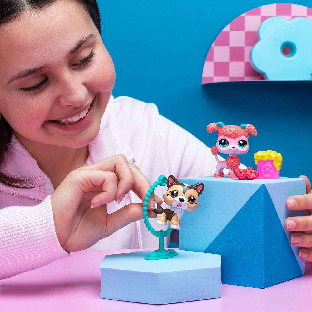 Old littlest pet shop online