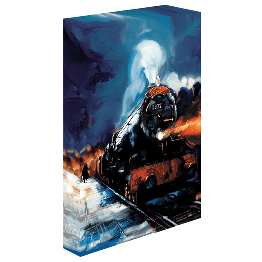 Toys N Tuck:Light Up Canvas Wall Art - Harry Potter,Harry Potter