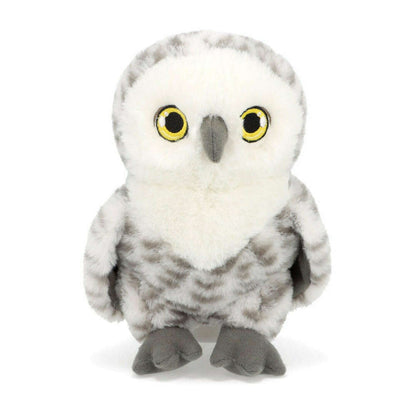 Toys N Tuck:Keeleco Animal Plush Owl,Keel Toys