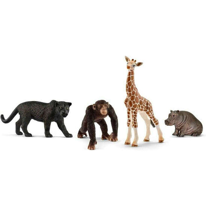 Toys N Tuck:Schleich 72162 Wild Life Starter Set,Schleich