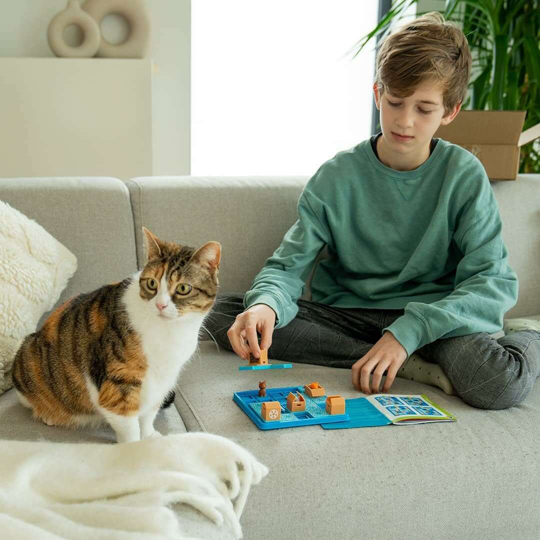 Toys N Tuck:Smart Games - Cats & Boxes 1 Player Puzzle Game,Smart Games