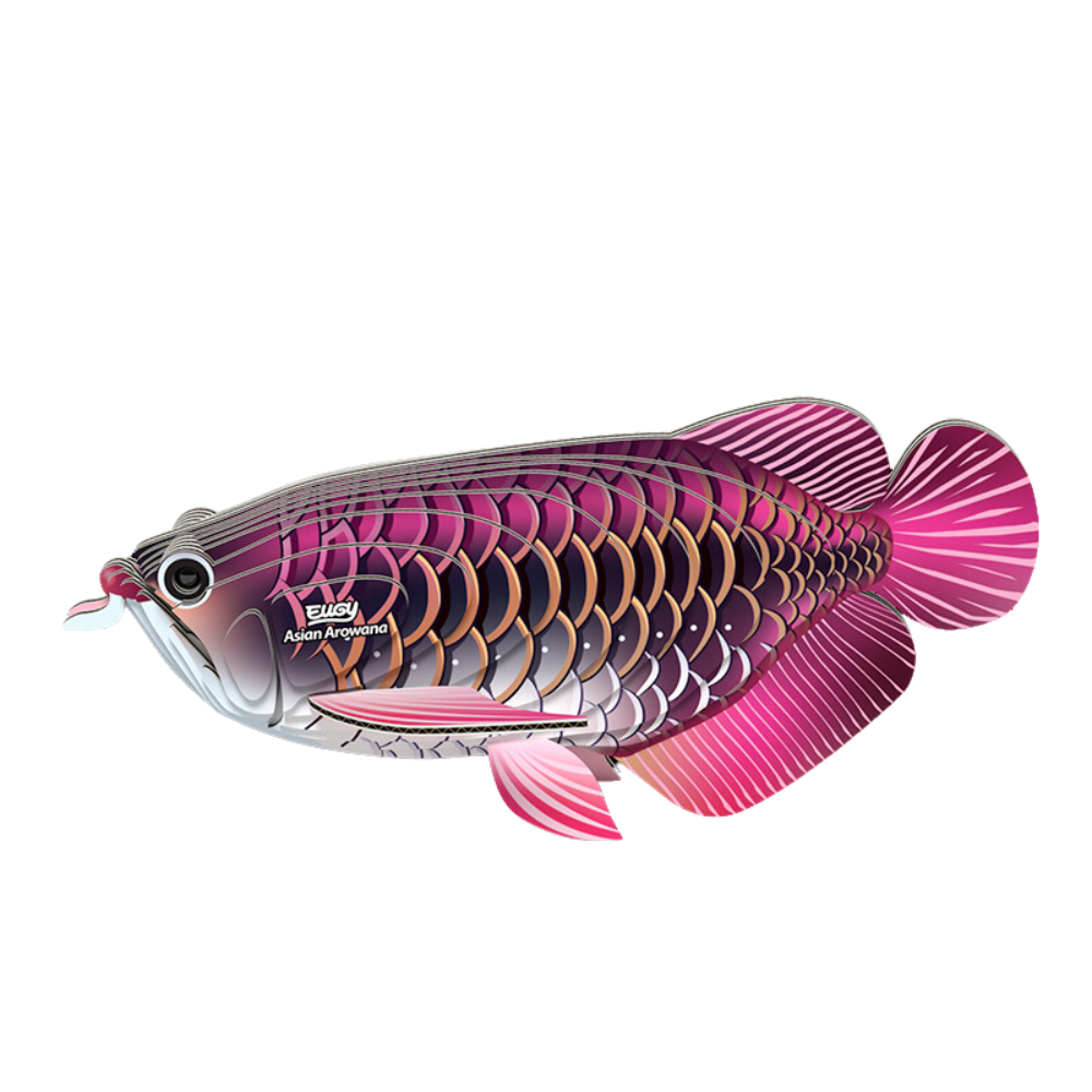 Toys N Tuck:Eugy 3D Model 118 Asian Arowana,Eugy