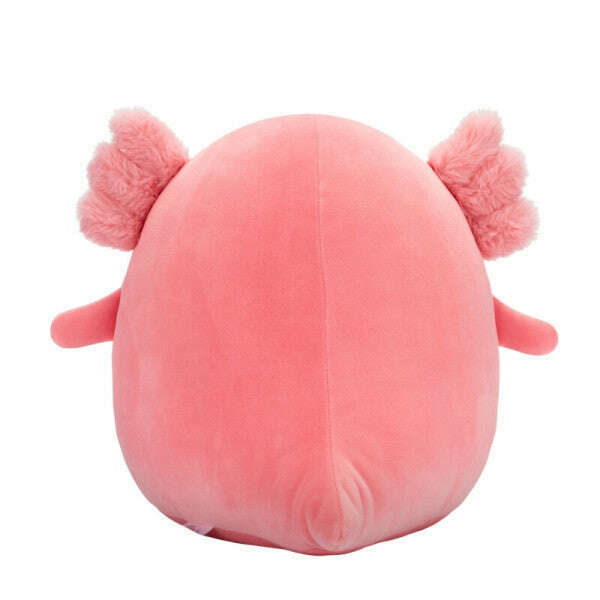 Toys N Tuck:Squishmallows 12 Inch Plush - Archie The Axolotl,Squishmallows