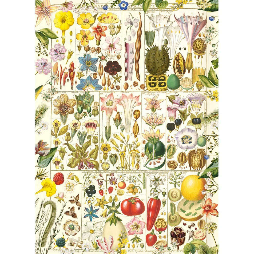 Toys N Tuck:Gibsons 1000 Piece Puzzle Botanical Bliss,Gibsons