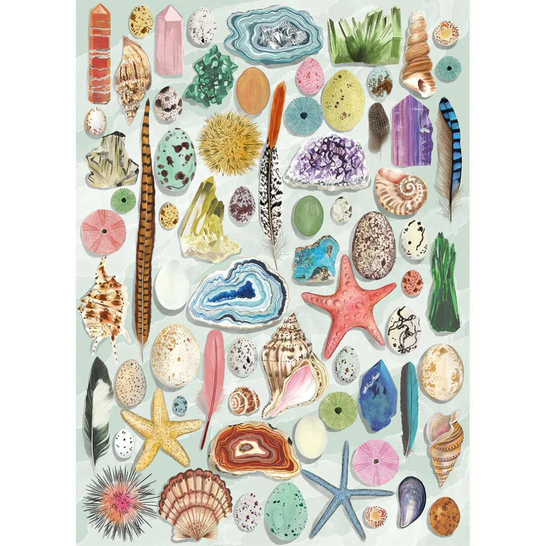 Toys N Tuck:Gibsons 1000 Piece Puzzle Natural Curiosities,Gibsons