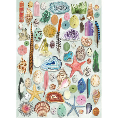 Toys N Tuck:Gibsons 1000 Piece Puzzle Natural Curiosities,Gibsons