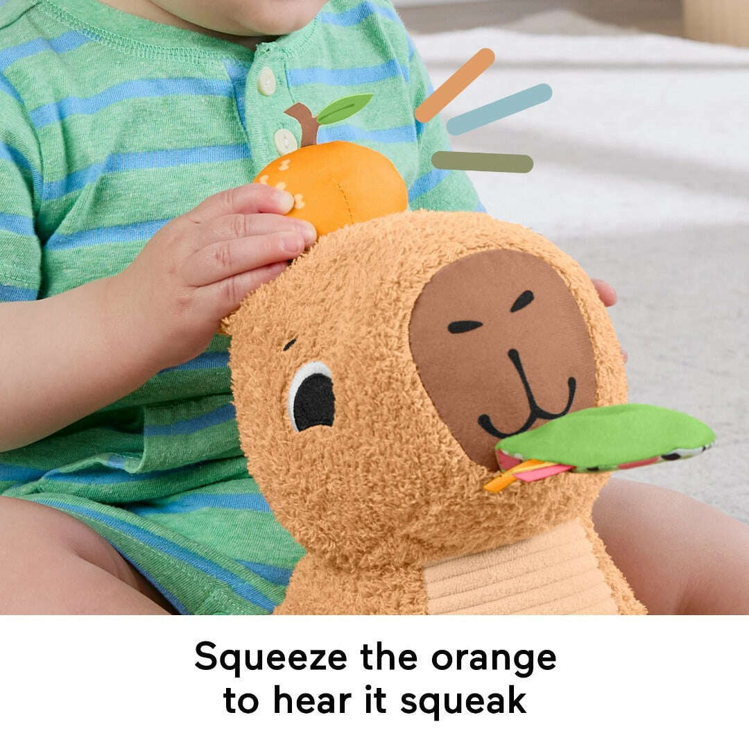 Toys N Tuck:Fisher Price Snuggly Snacky Capy,Fisher Price