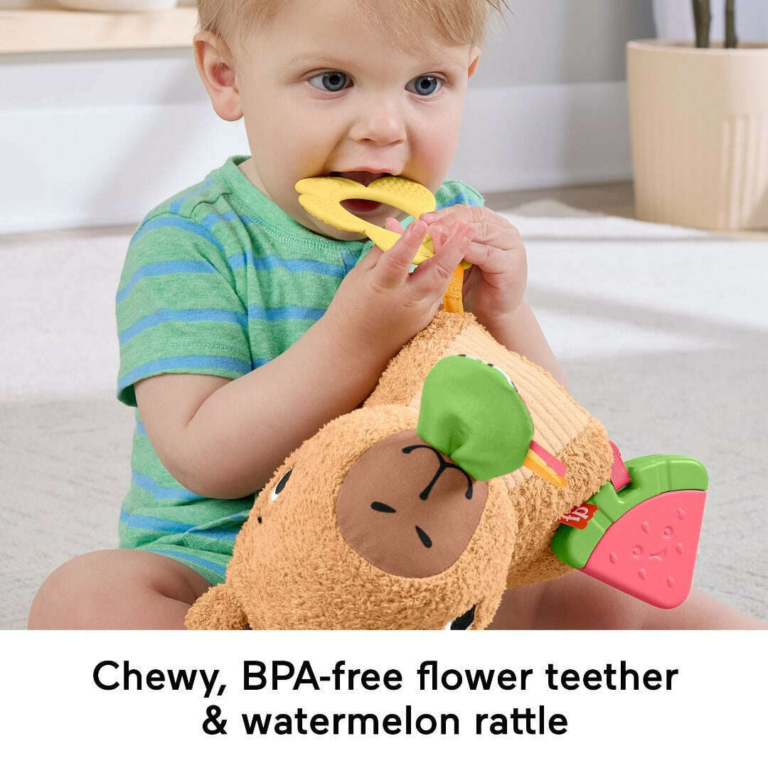 Toys N Tuck:Fisher Price Snuggly Snacky Capy,Fisher Price