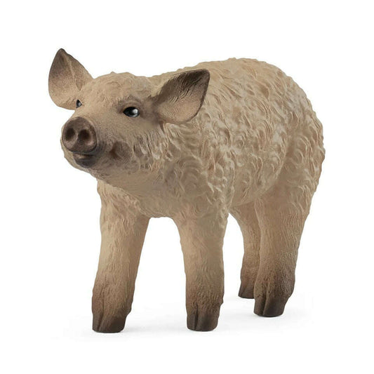 Toys N Tuck:Schleich 14893 Farm World Mangalica Piglet,Schleich