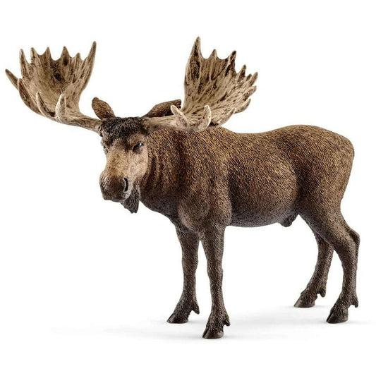 Toys N Tuck:Schleich 14781 Wild Life Moose bull,Schleich