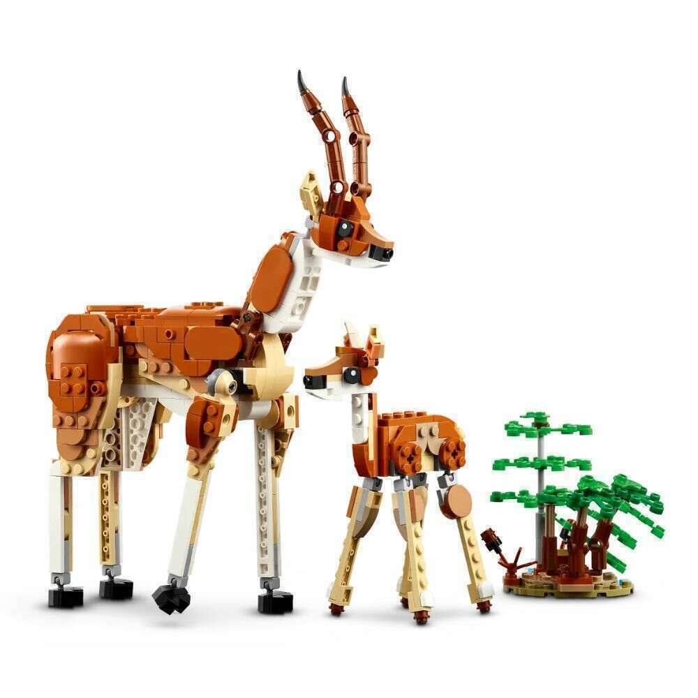 58929_46ff2060-3cd3-4742-9685-26ee057c46dd0