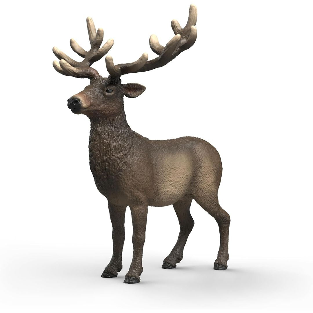 Schleich Wild Life Elk 14992