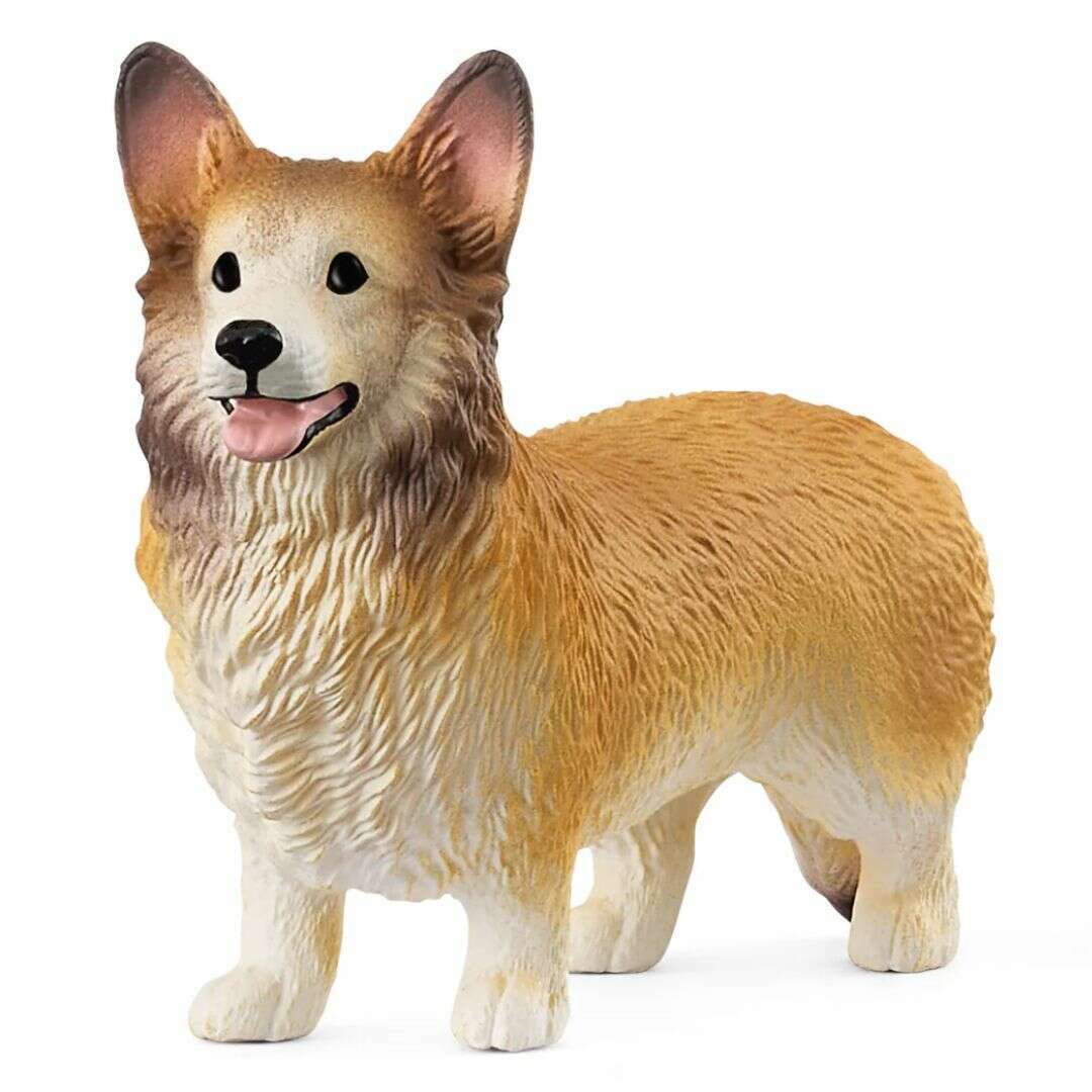 60749_ad636a66-dd55-45a0-aa54-db42ad38db5a0