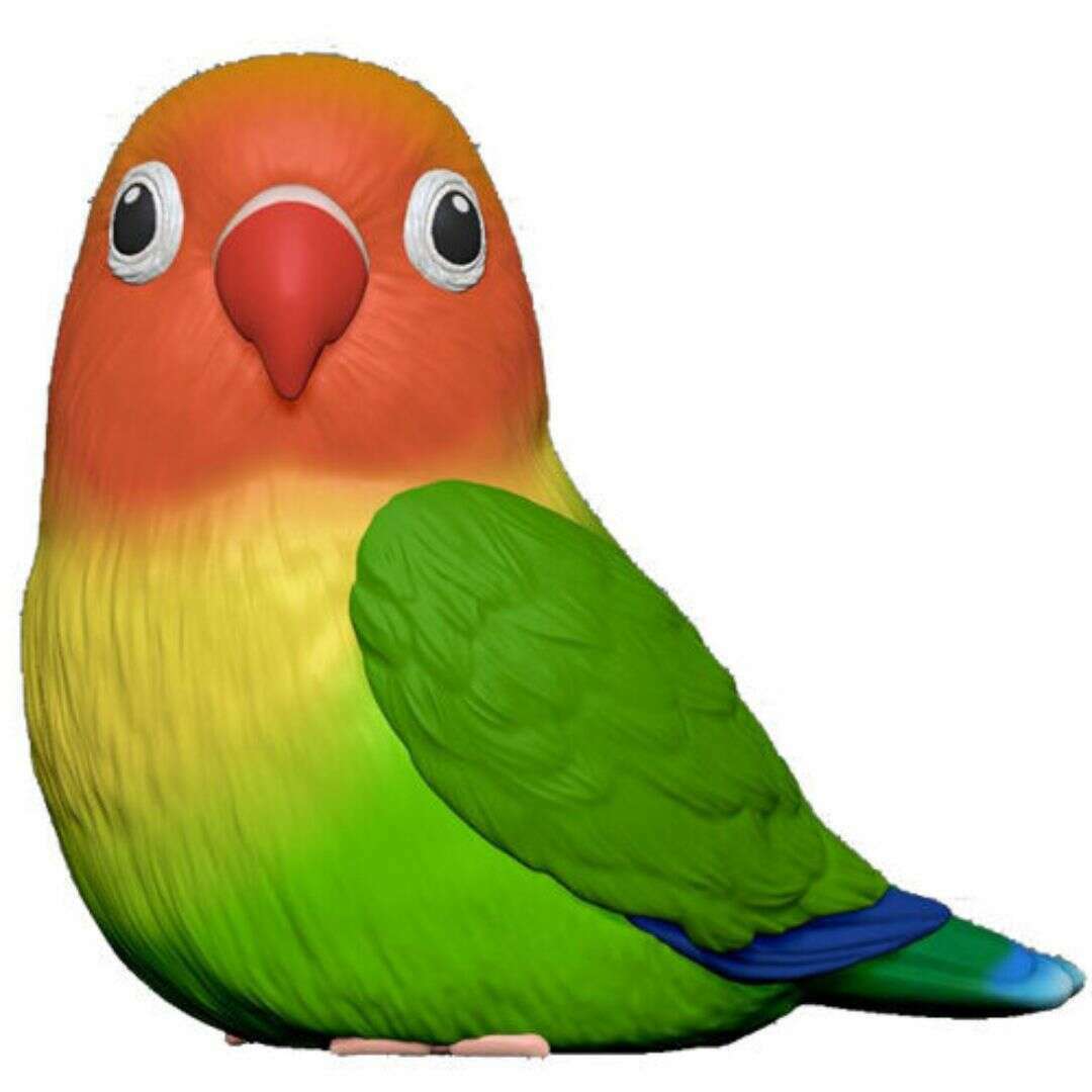 61100_bdbb746e-c0ef-4e65-b3f3-5db0bdddb5b00