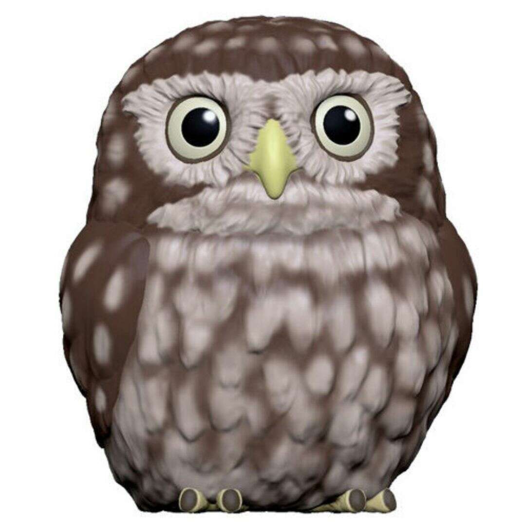 61106_23691b12-b12b-41ba-b9e5-cc998b033f0e0