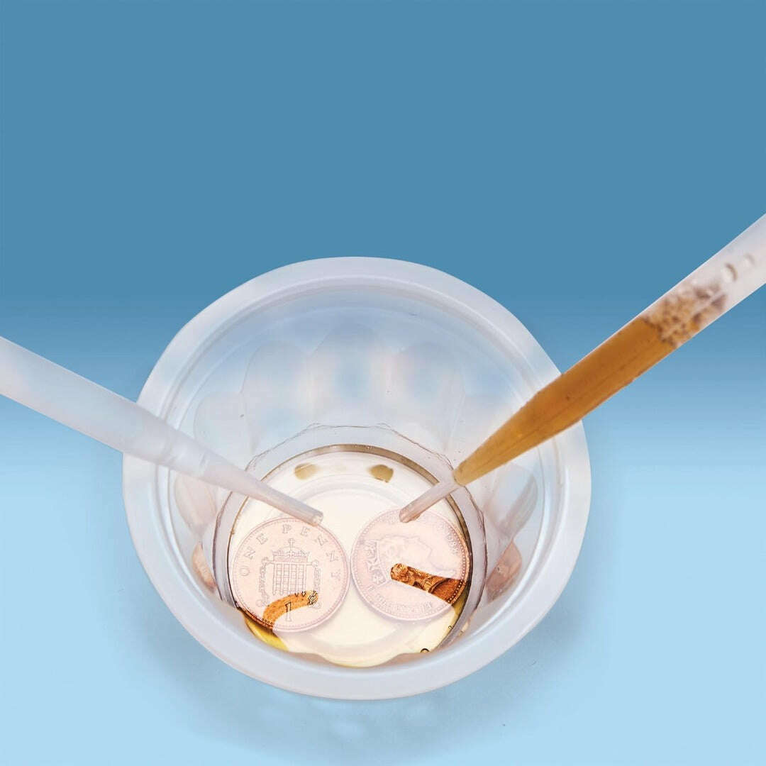 61178_38ed58ef-2f4c-48cd-962b-26365738befa0