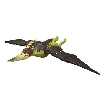 61513_99cf030b-1f4c-4467-8f59-3094d5f49c0f0