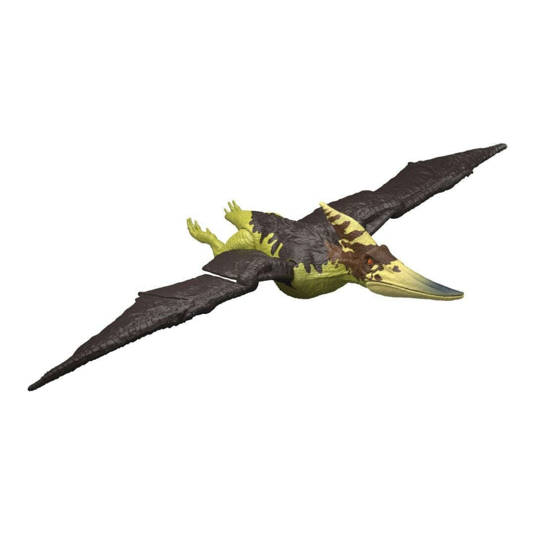 61513_bdd777ad-0452-4809-9c3e-987a7bc49fde0