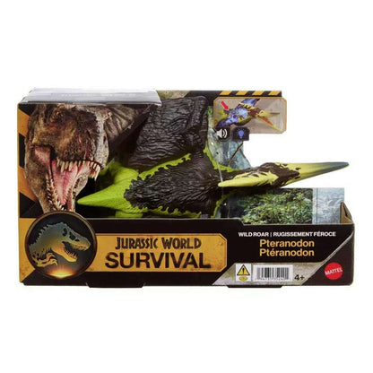 61513_c7d0bcc8-eb87-41cc-977f-63bdfa8c44ad0