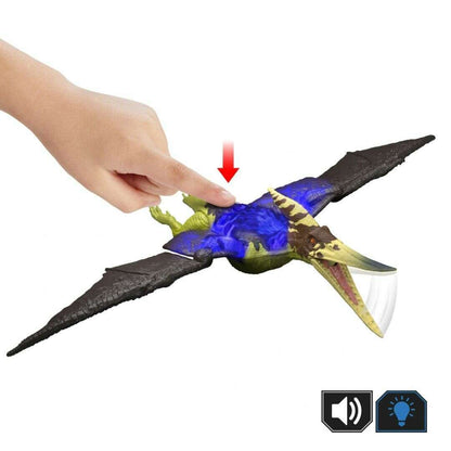 61513_f2cf98f3-a6f3-4bdd-b4ae-60d9f1ea60ad0